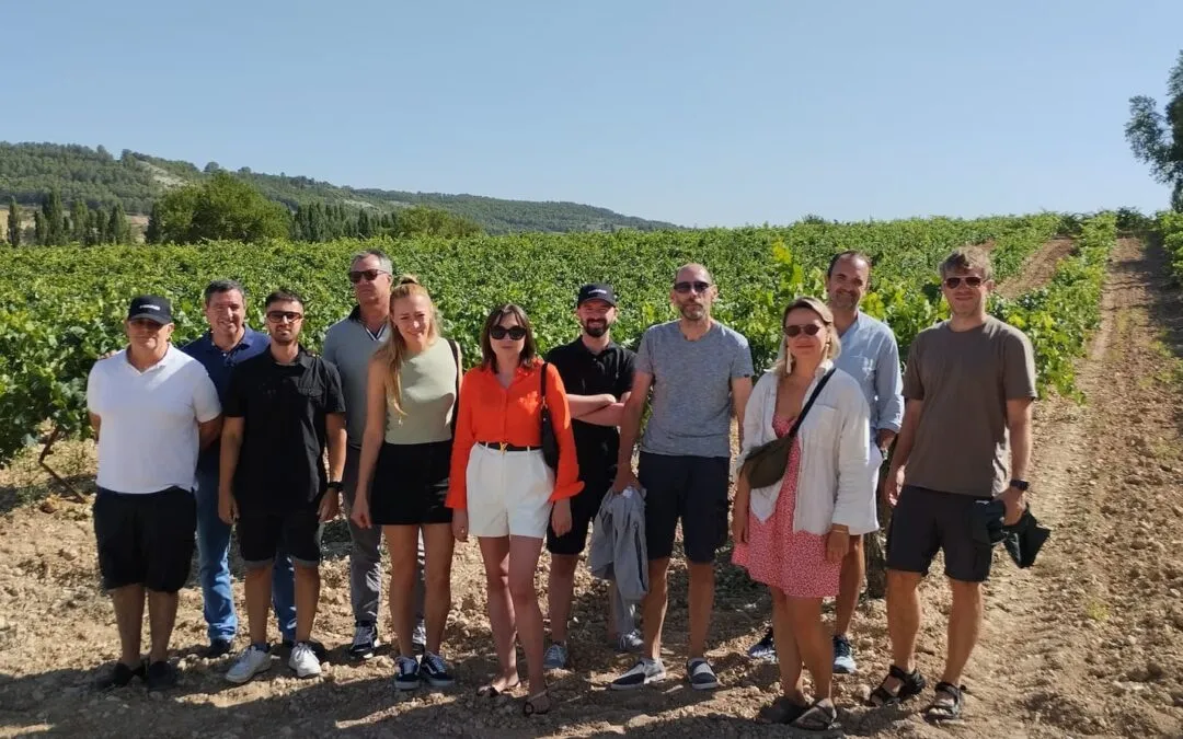 Adult Squash Camp – Option 1